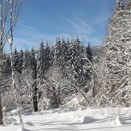 Ferme Des Poncées Hébergement de vacances Gérardmer