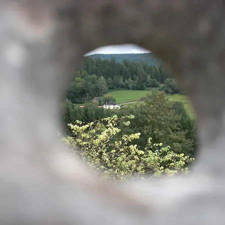 Ferme Des Poncees