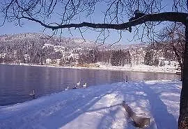 Hébergement de vacances Ferme Des Poncées Gérardmer
