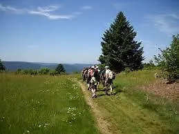 Ferme Des Poncées Hébergement de vacances *