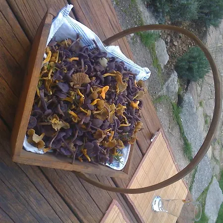 Hébergement de vacances Ferme Des Poncées Gérardmer